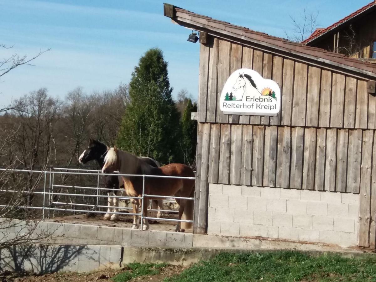 Ferienwohnung Auf Dem Erlebnisreiterhof Kreipl Grattersdorf Buitenkant foto