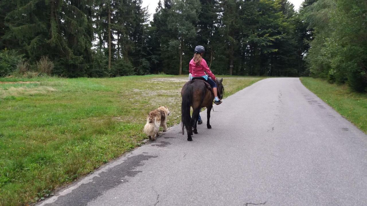Ferienwohnung Auf Dem Erlebnisreiterhof Kreipl Grattersdorf Buitenkant foto